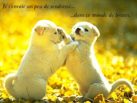 Message